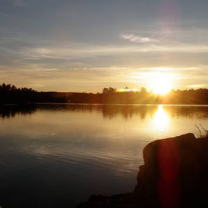 Meet your Posher, PineWoodPlace